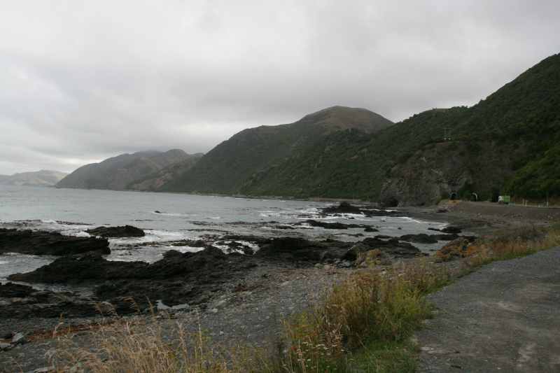 Nieuw-Zeeland 2011 - 1185